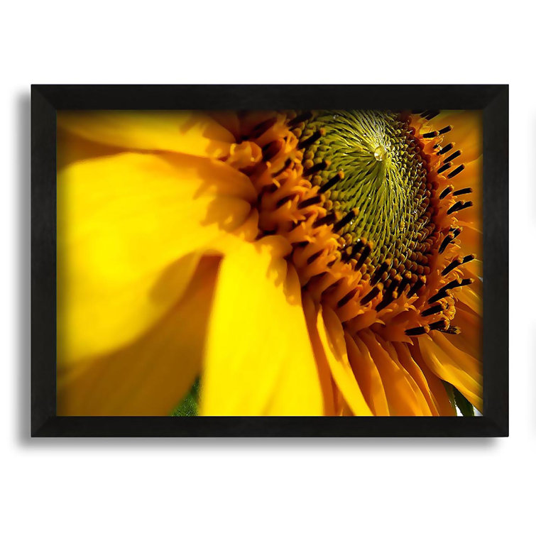 August Grove Sunflower Side Picture Frame Photograph on Canvas